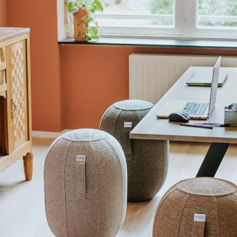 VLUV® – Kapsul und Bol – Balancekapsel und Sitzball – Bild 4